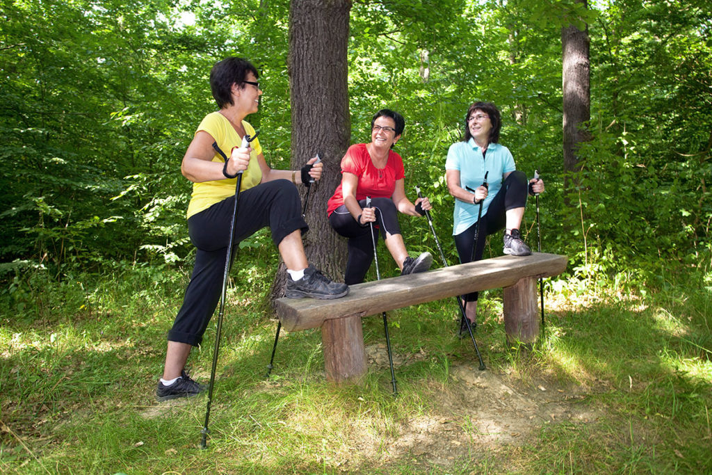 Nordic Walking im Sommerurlaub in Flachau, Salzburger Land