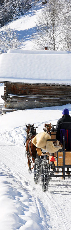 Pferschlittenfahrten im Winterurlaub in Flachau, Ski amadé