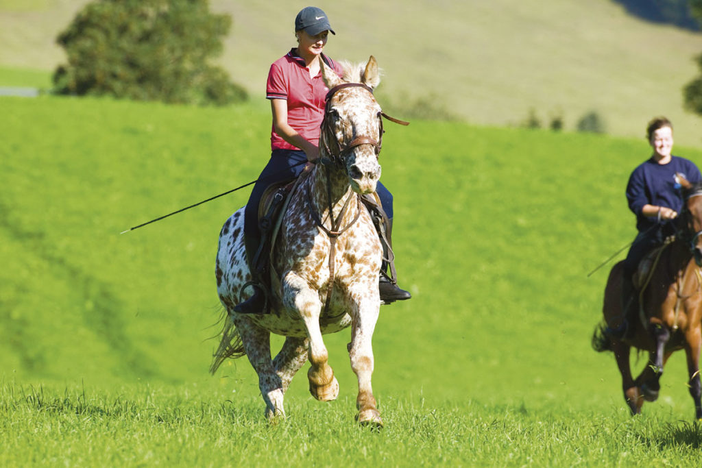 Reiten im Sommerurlaub in Flachau, Salzburger Land