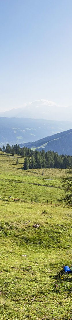 Sommerurlaub in Flachau, Salzburger Land